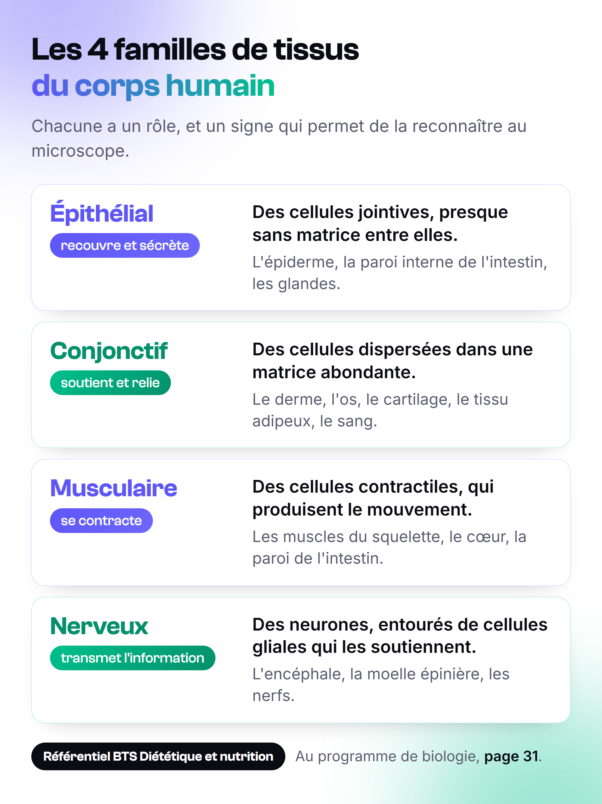 Les quatre familles de tissus du corps humain : épithélial, conjonctif, musculaire et nerveux, avec le rôle, le signe distinctif et des exemples de chacun